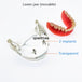 modelo prótesis dental