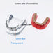 modelo prótesis dental