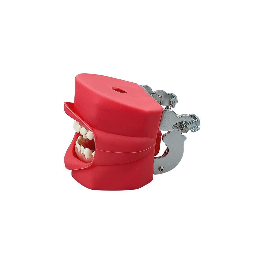 modelo simulador dental